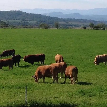 Roulotte A La Campagne Saint-Just-et-Vacquières